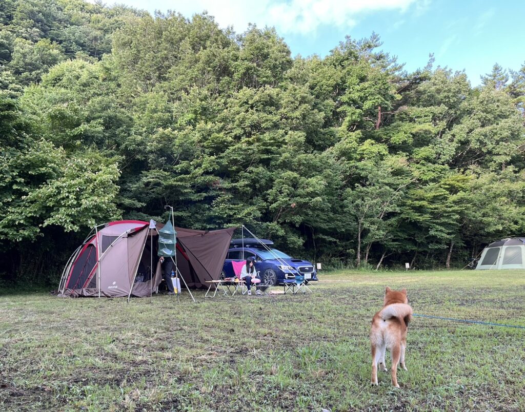 犬連れキャンプ