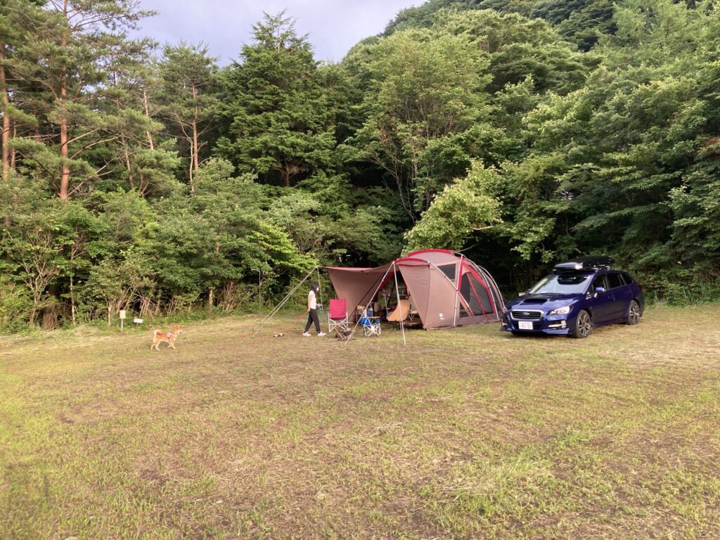 キャンプ　場