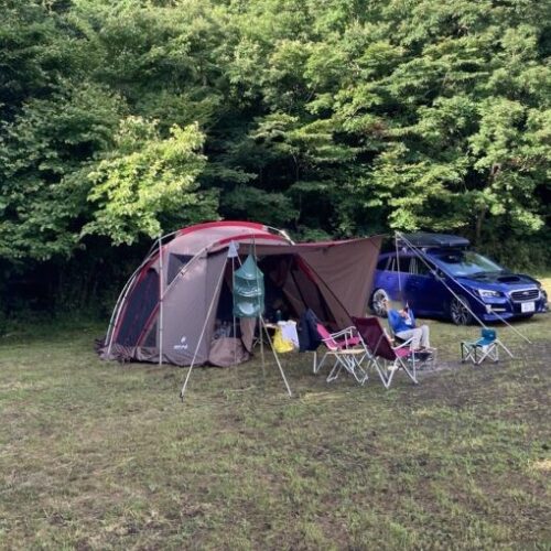 リビングシェルロングPro