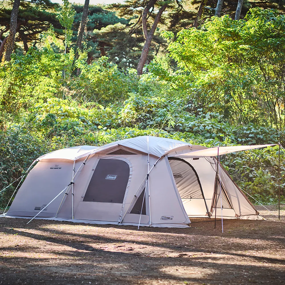 タフ2ルーム DX/3025　全景